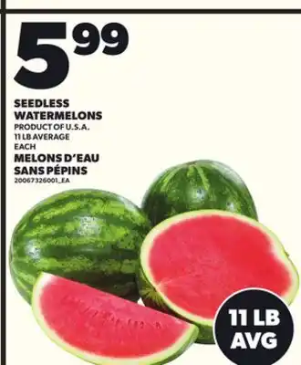 Independent City Market SEEDLESS WATERMELONS, 11 LB AVERAGE offer