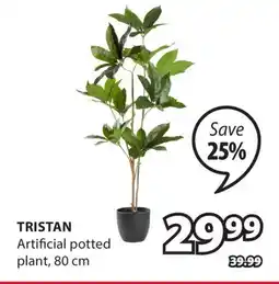 JYSK TRISTAN Artificial potted plant offer