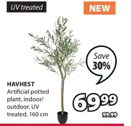 JYSK HAVHEST Artificial potted plant offer