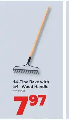 Matériaux Pont Masson 14-Tine Rake with 54 Wood Handle offer