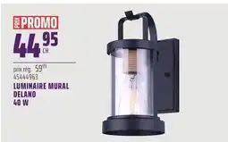 Gagnon - La Grande Quincaillerie LUMINAIRE MURAL DELANO 40 W offer