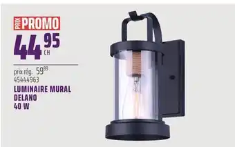 Gagnon - La Grande Quincaillerie LUMINAIRE MURAL DELANO 40 W offer