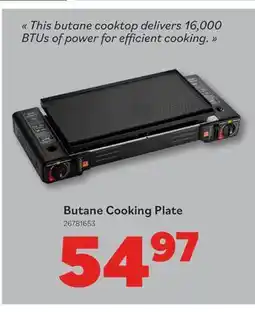 Matériaux Pont Masson Butane Cooking Plate offer