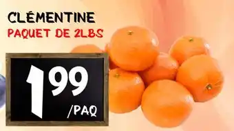 Marche Salaberry CLÉMENTINE offer