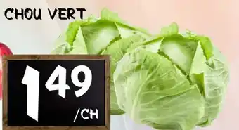 Marche Salaberry CHOU VERT offer