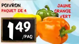 Marche Salaberry JAUNE ORANGE VERT offer