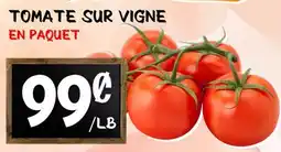 Marche Salaberry TOMATE SUR VIGNE offer