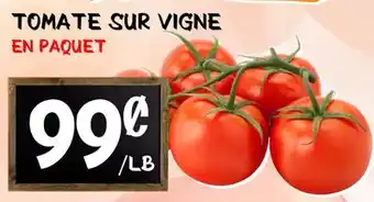 Marche Salaberry TOMATE SUR VIGNE offer