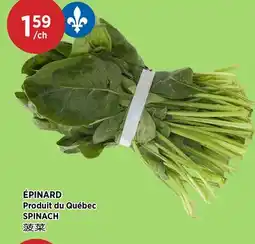 Kim Phat SPINACH offer