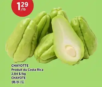 Kim Phat CHAYOTE offer