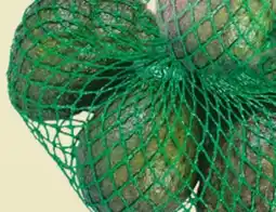 Kim Phat AVOCADOS offer