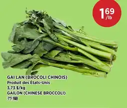 Kim Phat GAILON (CHINESE BROCCOLI) offer