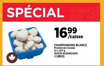 Kim Phat WHITE MUSHROOMS offer