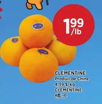 Kim Phat CLEMENTINE offer
