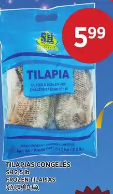 Kim Phat SH FROZEN TILAPIAS offer