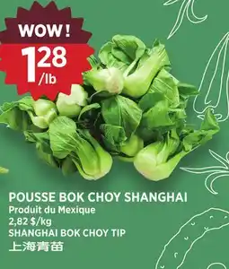 Kim Phat SHANGHAI BOK CHOY TIP offer