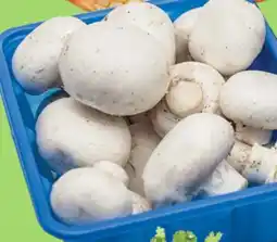 Kim Phat WHITE MUSHROOMS offer