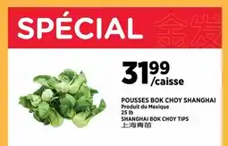 Kim Phat SHANGHAI BOK CHOY TIPS offer