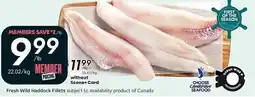 Sobeys Fresh wild haddock fillets offer