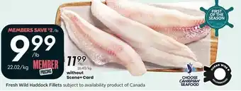Sobeys Fresh wild haddock fillets offer