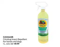 Home Hardware Citrobug Insect Repellent horses and dogs offer