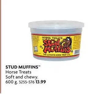 Home Hardware Horse TreatSofts and chewy. 600 g offer