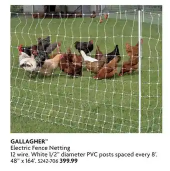 Home Hardware Electric Fence Netting offer