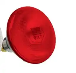 Home Hardware 175 Watt Red Hard Glass Heat Lamp offer