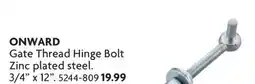 Home Hardware Gate Thread Hinge BolZinct plated steel offer