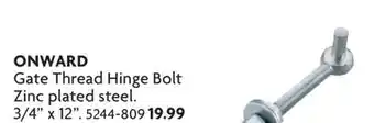 Home Hardware Gate Thread Hinge BolZinct plated steel offer