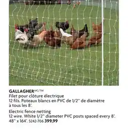 Home Hardware Electric fence netting 12 wire. White 1/2 diameter PVC posts spaced every 8' offer