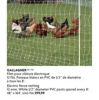 Home Hardware Electric fence netting 12 wire. White 1/2 diameter PVC posts spaced every 8' offer