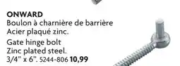 Home Hardware Gate hinge bolt Zinc plated steel offer