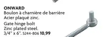 Home Hardware Gate hinge bolt Zinc plated steel offer
