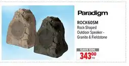 2001 Audio Video ROCK60SM Rock-Shaped Outdoor Speaker-Granite & Fieldstone offer