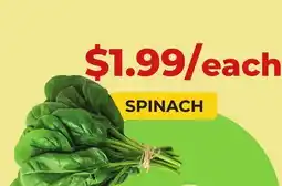 Food World Supermarket SPINACH offer