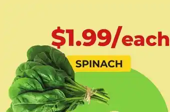 Food World Supermarket SPINACH offer