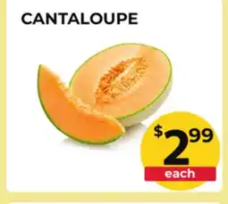 Food World Supermarket CANTALOUPE offer