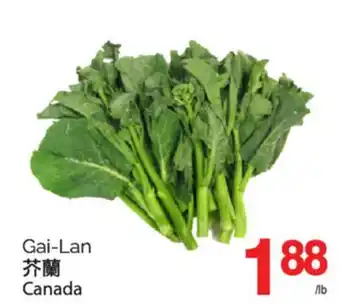 T&T Supermarket GAI-LAN offer