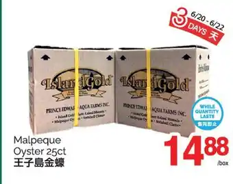 T&T Supermarket MALPEQUE OYSTER, 25 CT offer