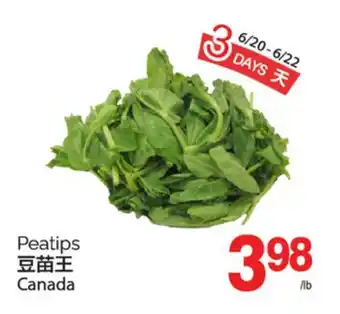 T&T Supermarket PEATIPS offer