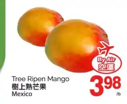 T&T Supermarket TREE RIPEN MANGO MEXICO offer