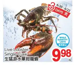 T&T Supermarket LOBSTER-SINGLE CLAW offer