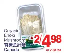 T&T Supermarket ORGANIC ENOKI MUSHROOM offer