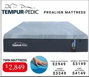 The Sleep Factory PROALIGN MATTRESS offer
