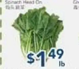 Oceans Fresh Food Market Spinach Head On offer