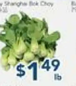 Oceans Fresh Food Market Baby Shanghai Bok Choy offer