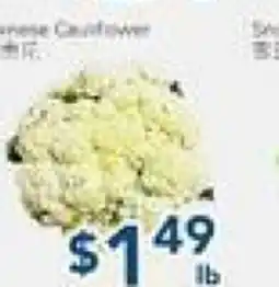 Oceans Fresh Food Market Chinese Cauliflower offer