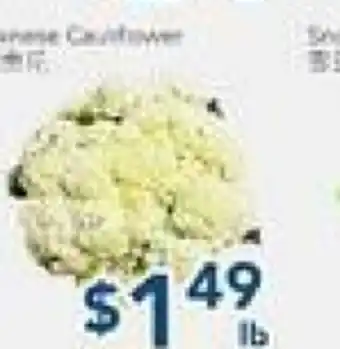 Oceans Fresh Food Market Chinese Cauliflower offer