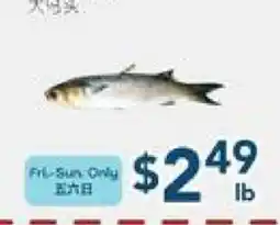 Oceans Fresh Food Market Large Mullet offer